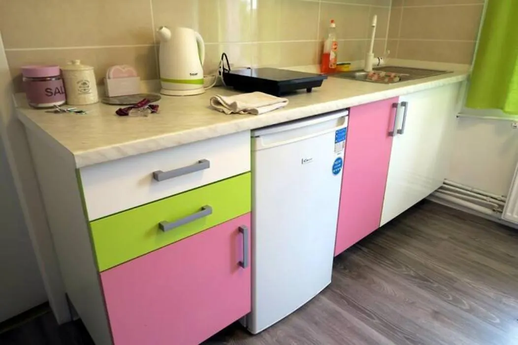Holiday Rooms & Apartments In The Rosy Garden Ljubljana 3*,  Slovenia